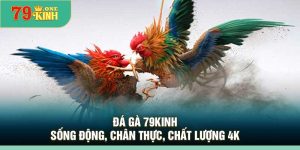 Đá gà 79Kinh